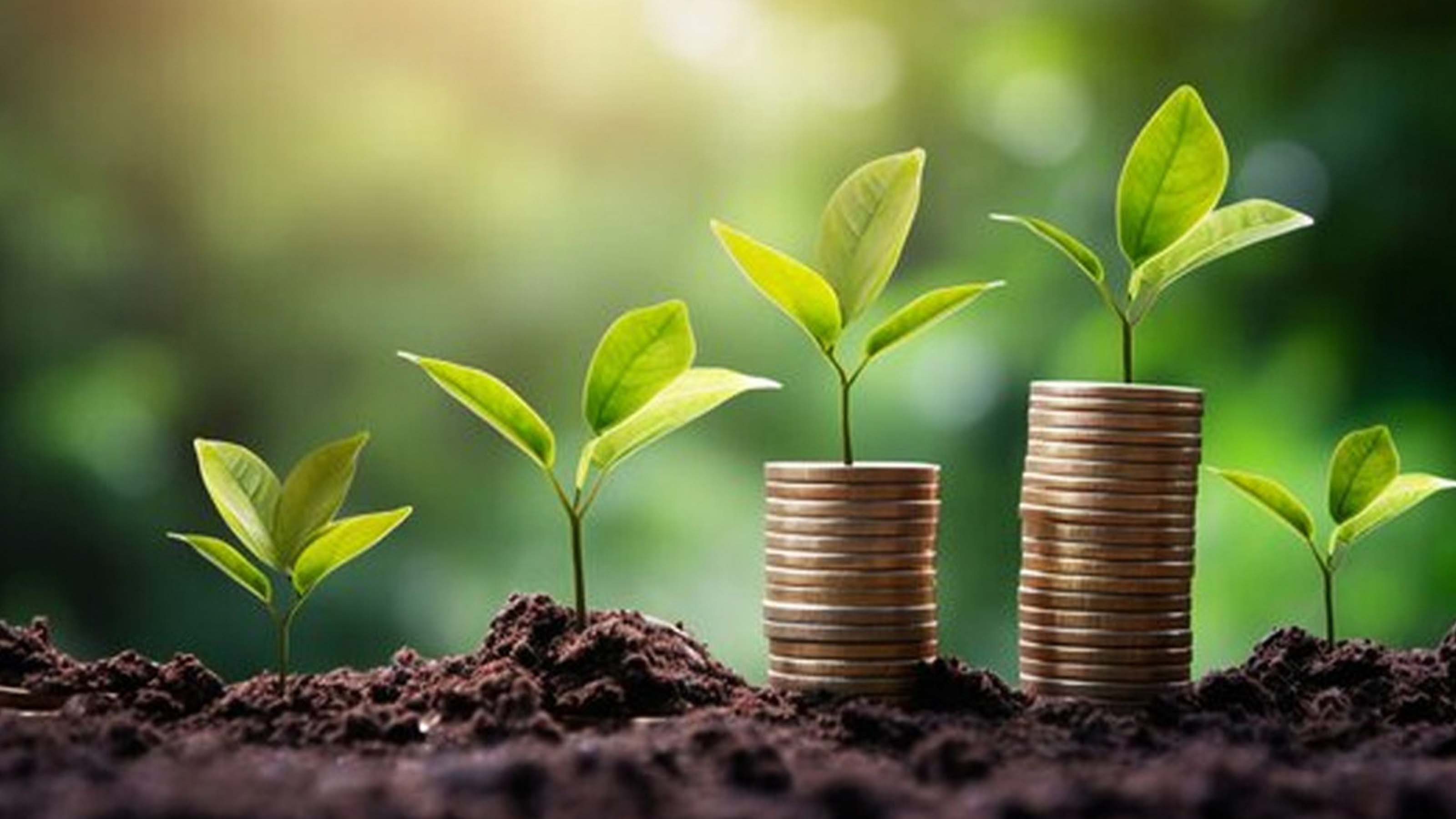 Money and Abundance