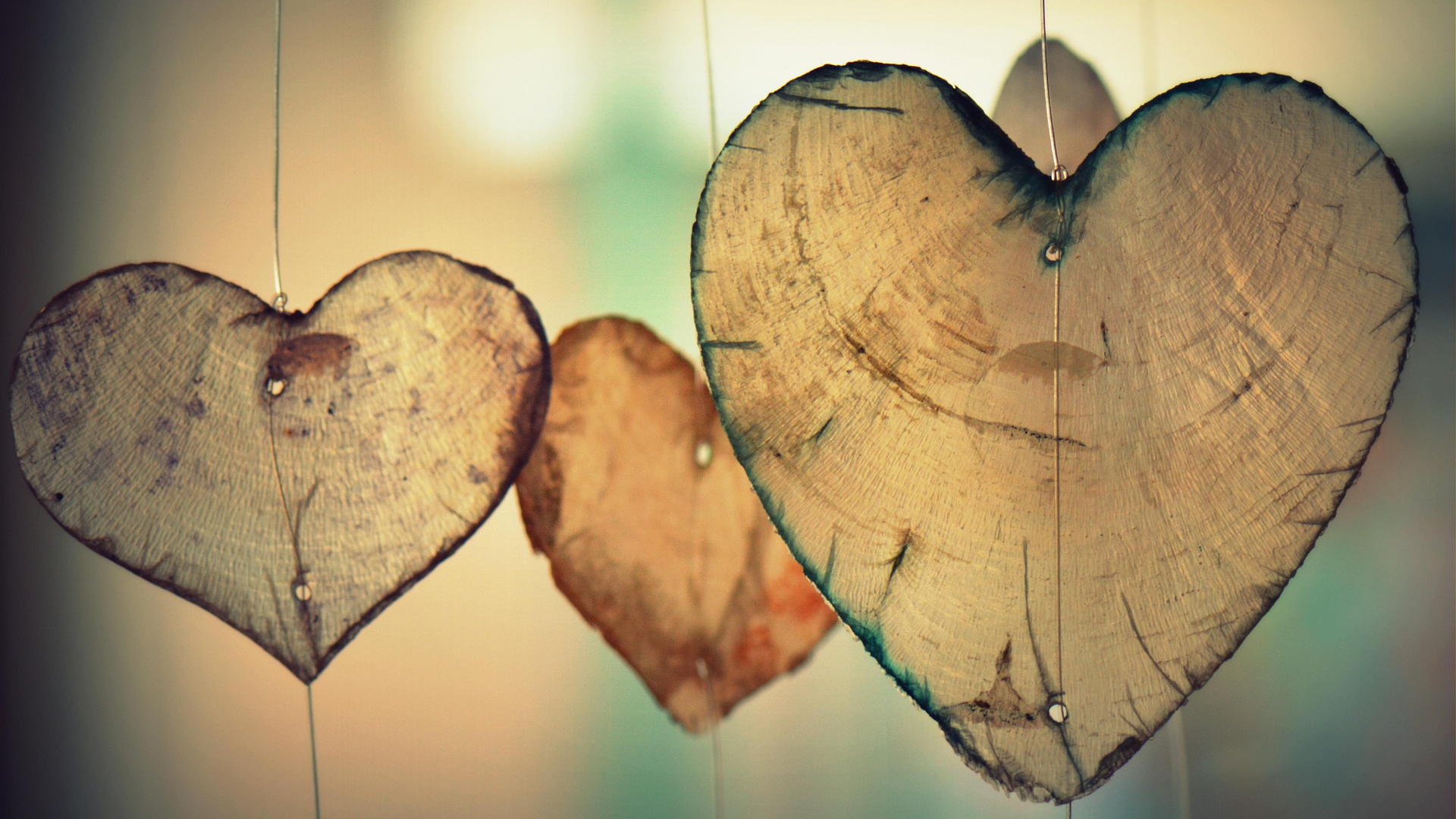 Hearts hanging