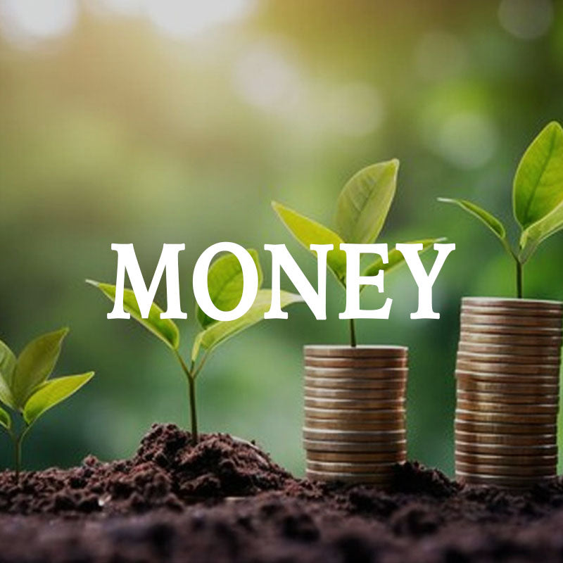 Stacks of coins with growing plants on a natural background, symbolizing financial growth.