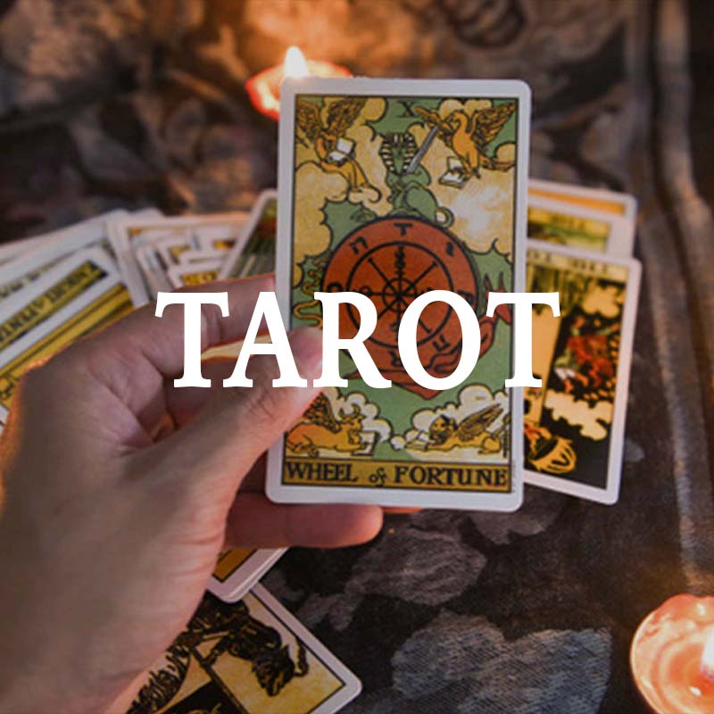 Hand holding a tarot card labeled 'Wheel of Fortune' with other cards in the background.