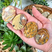 Crazy Lace Agate Worry Stone