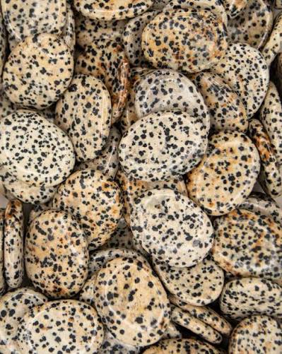 Dalmatian Jasper Worry Stones