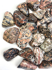 Leopard Skin Jasper Tumble