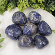 Sodalite Tumbles