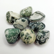 Tree Agate Tumbles