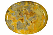 Crazy Lace Agate Worry Stone